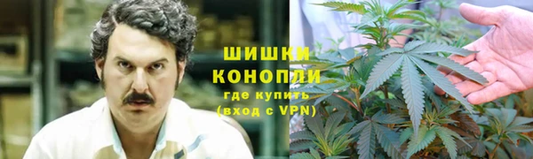 прущие грибы Горнозаводск
