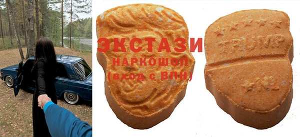 тгк Гусев