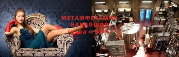 прущие грибы Горнозаводск