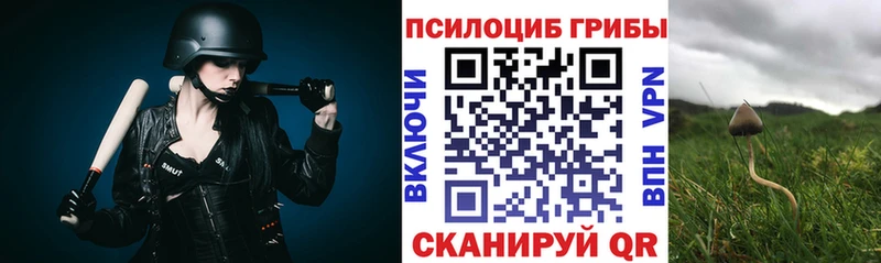 MEGA ТОР  купить  сайты  Гусиноозёрск  Галлюциногенные грибы мухоморы 